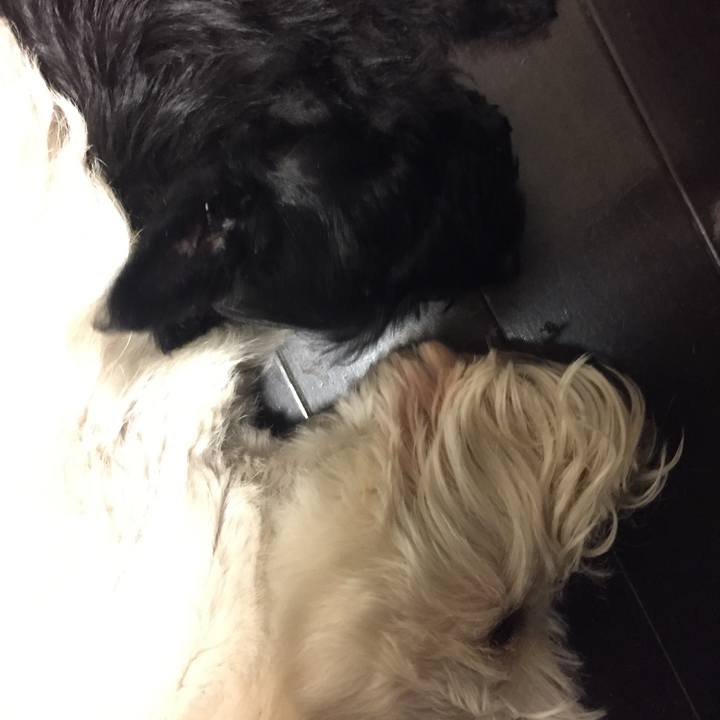 Cb60b0c5 33b8 43ed aa2d d09265fd341d