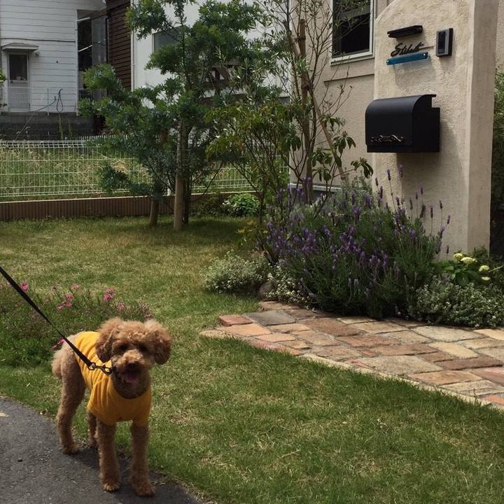 Cb60c2f1 ac45 46cb b5bf 26385731e351