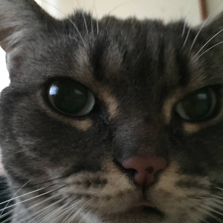 Cb60c970 af21 4e0f 8851 08f1e498fc55