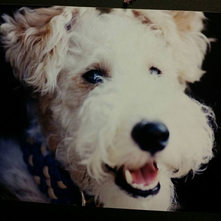 Cb60da96 b56a 4cc7 b38d 7fb7bb3b4f8b