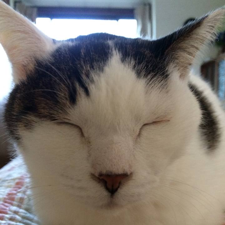 Cb60ee12 8e95 4a6e aa09 7322ebfdb35b