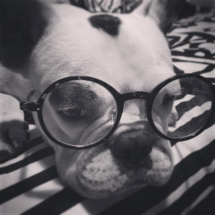 Cb613a36 c241 47ff 8a63 2d20655be9b0