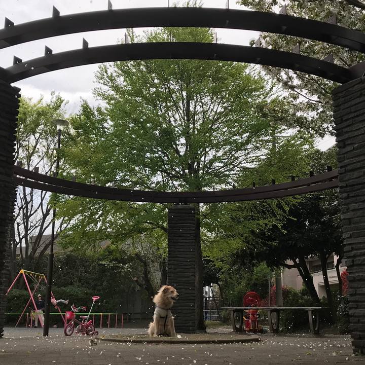 Cb61fbe6 68ad 4e64 a9e2 6e5bce1bb62b