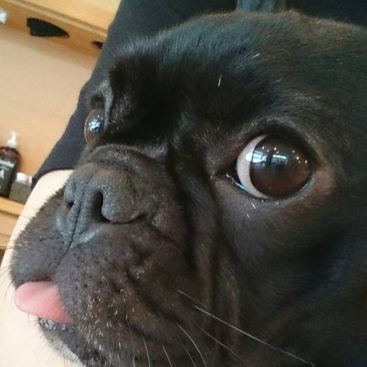 Cb621250 4887 474b 827f 0f28669d6d1e