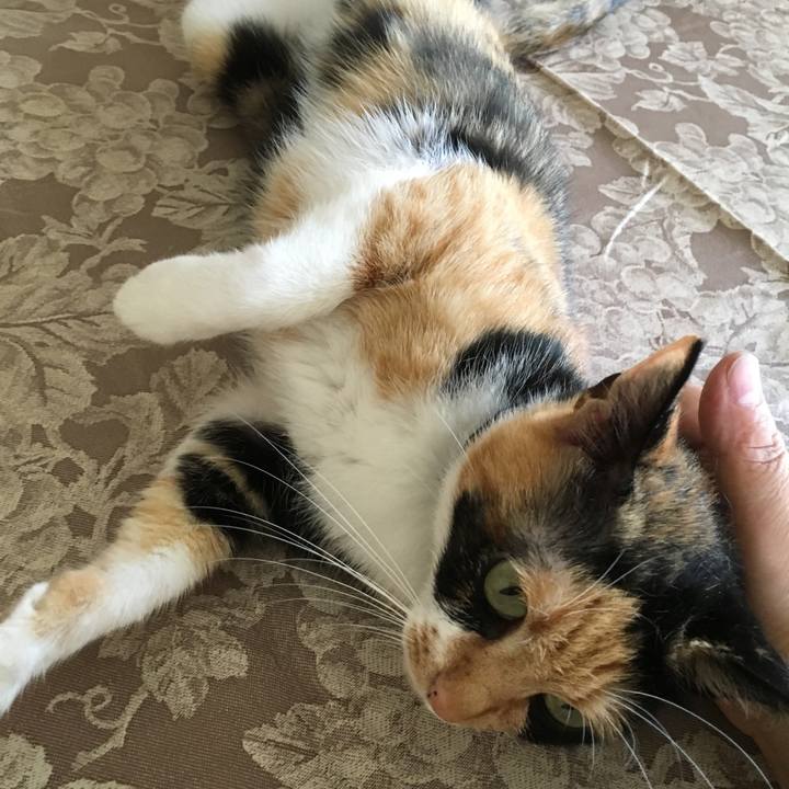 Cb62131d 70a4 4b3e a749 3bd0d0fbd183