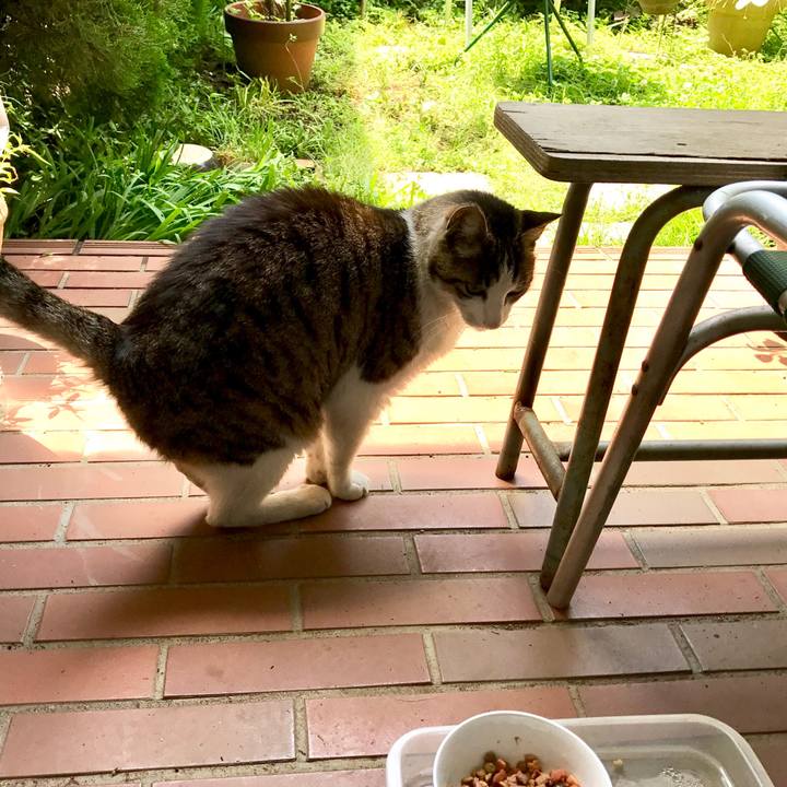 Cb62db66 e919 4a78 a2b8 5f4c3f9323b3