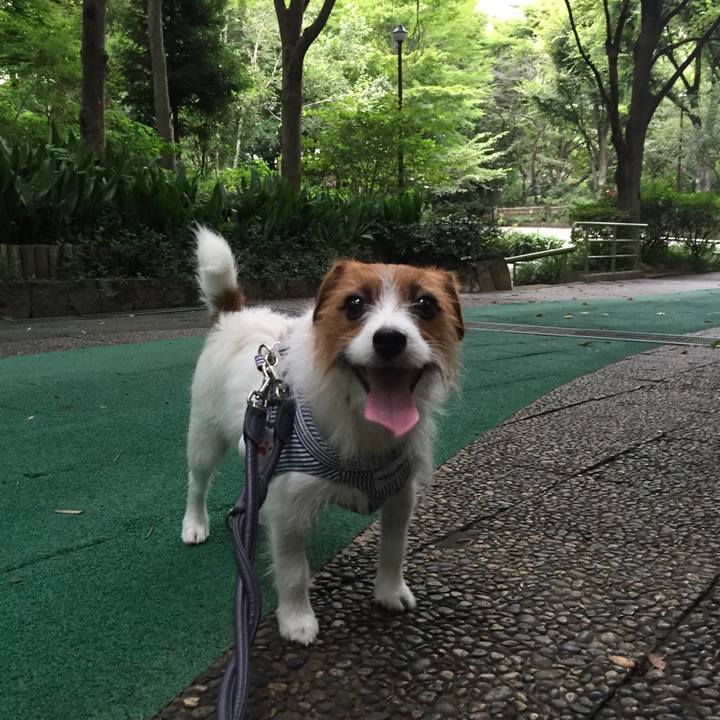 Cb64862e e771 4b5e bfc8 e1091ce8c10b