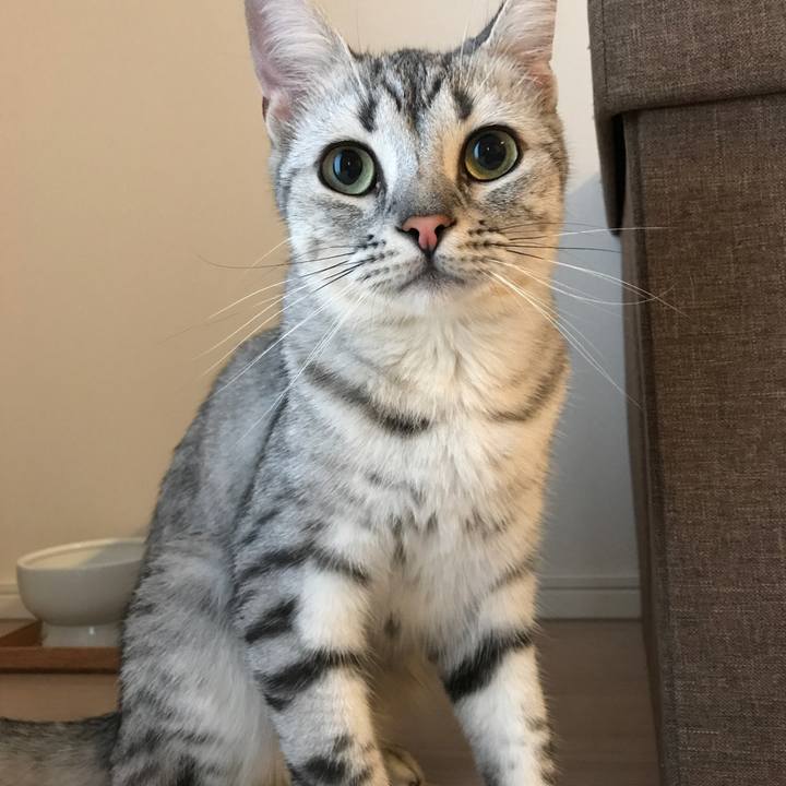 Cb65d9e8 5997 4fc9 836f d5e33fb39d7c