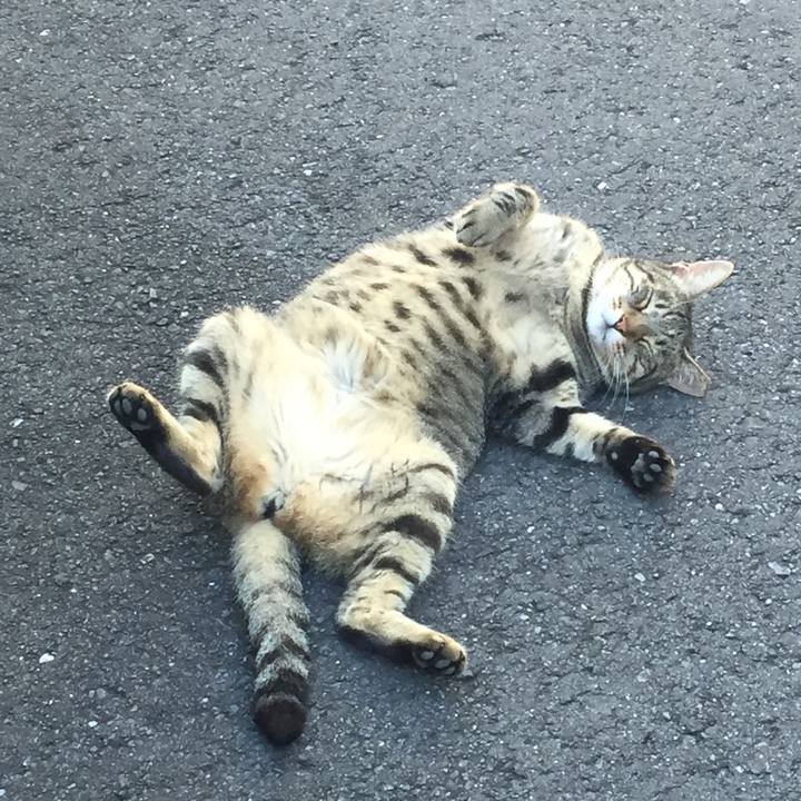 Cb686892 69a0 41b8 9362 2bb15c89fe31