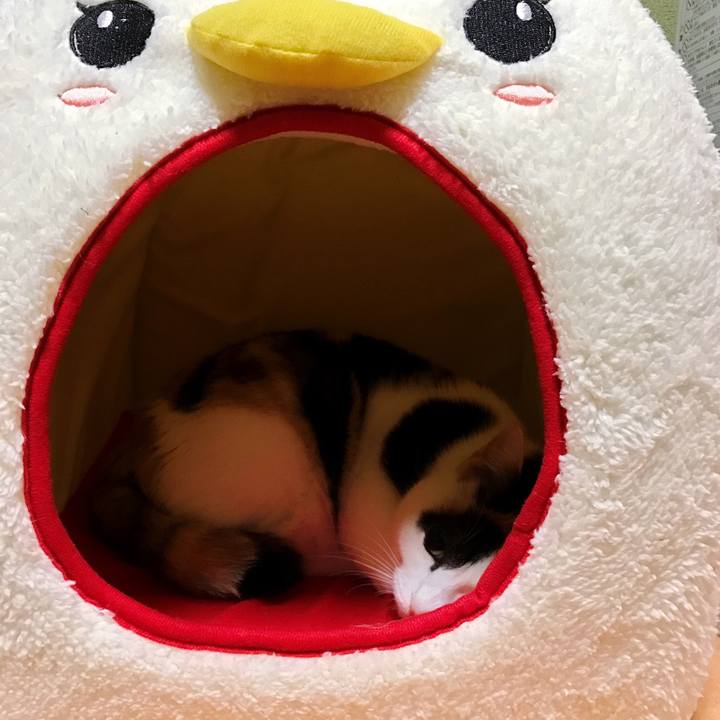 Cb6a13a9 a6f3 4b5e b2db 67265edf125b