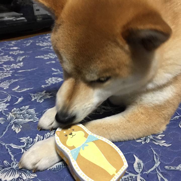 Cb6a918a a47b 4720 a0a4 c362a5e48a3e