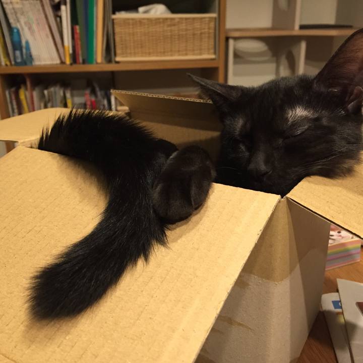 Cb6ae7f9 5931 4317 92f2 0013f634f2f1