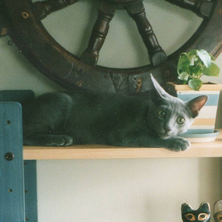 Cb6af071 87dd 4efe a486 9368ccadf572