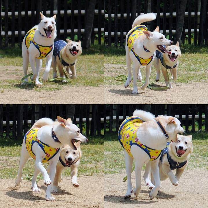 Cb6b1a92 06ad 42ba 953d 3e9232a96cb6