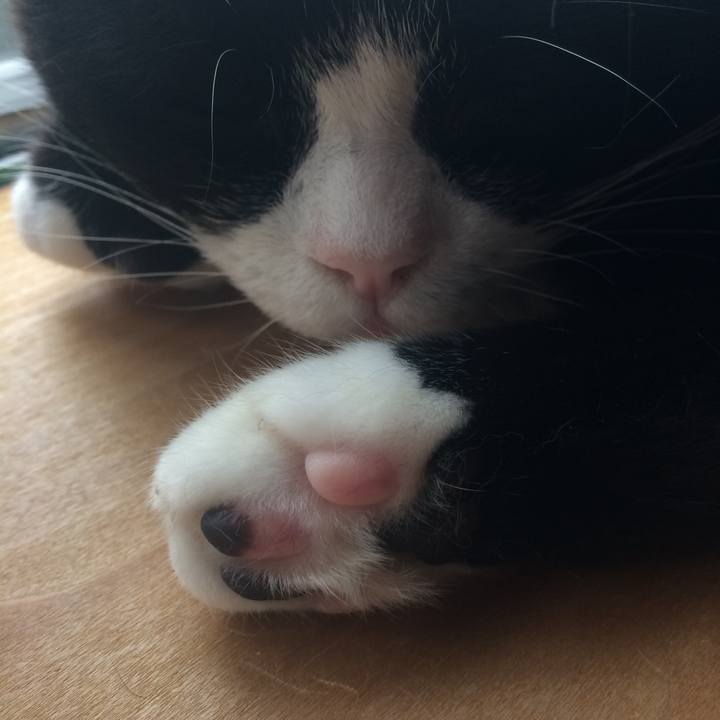 Cb6b36c9 0f59 499d 9b35 2a3749b3a80c