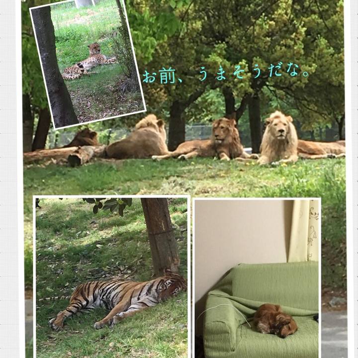 Cb6b3a6a 7150 46d8 8e80 7a44b1905882