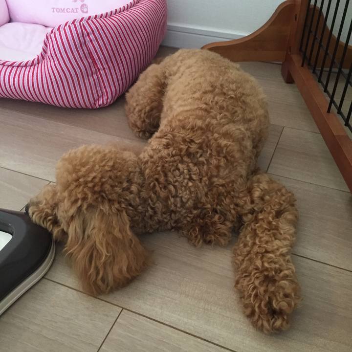 Cb6bb6aa 85ea 4e9a 98d9 a20d1941be88