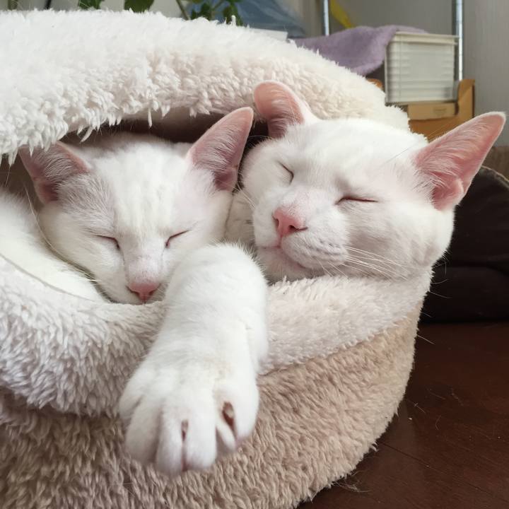 Cb6cef61 5d25 4f20 8d9f 5fcc33eb49e9