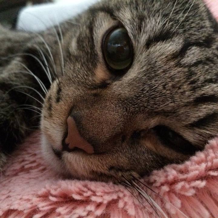 Cb6d20d7 0547 41f6 8bde c7c0f3f524f9