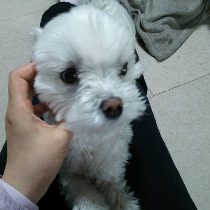 Cb6d3a7d c3b3 4aff 91f2 4525180331ee