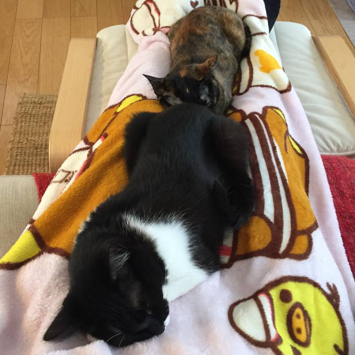 Cb6dc576 e90b 45a5 87a4 44ee4c67fcc7