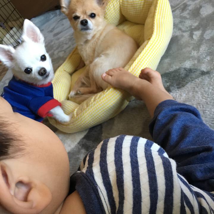 Cb6e053f 79b9 4b8b a2d4 9022719c2672