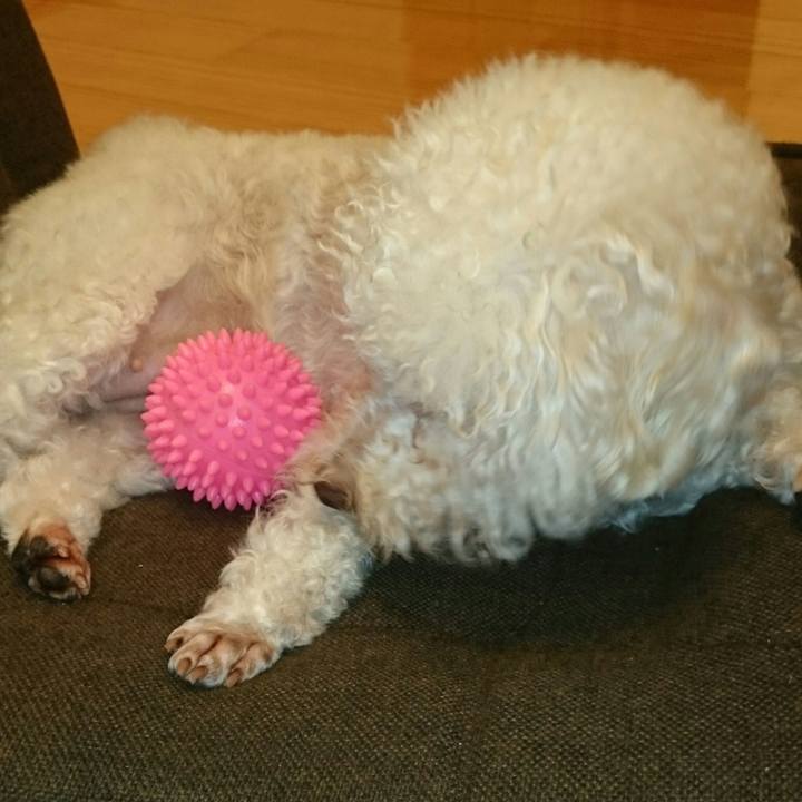 Cb6e17bc 8b99 4bd8 8d23 4766c4b3330f