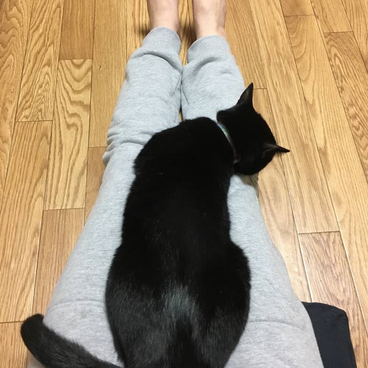 Cb6e3818 d059 4d92 a47e 19775bb044ff