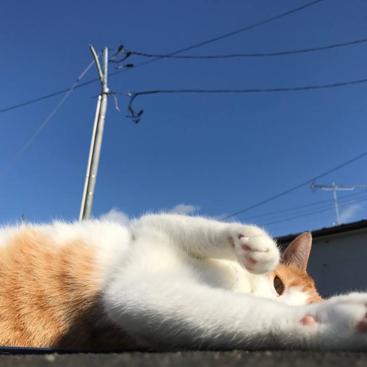 Cb6e3eee 3e10 4fc7 ae3b c301a45c85a3