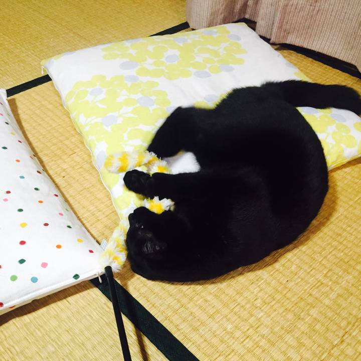 Cb6e9db7 dcb3 4c94 9fb4 6e20fffb5812