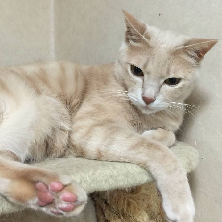 Cb6eac43 537b 46e2 bc2b 65d609b41a4f