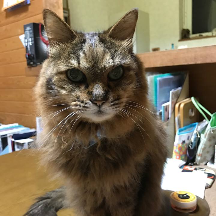 Cb6f7864 8c44 4c01 b792 e6883a963c61