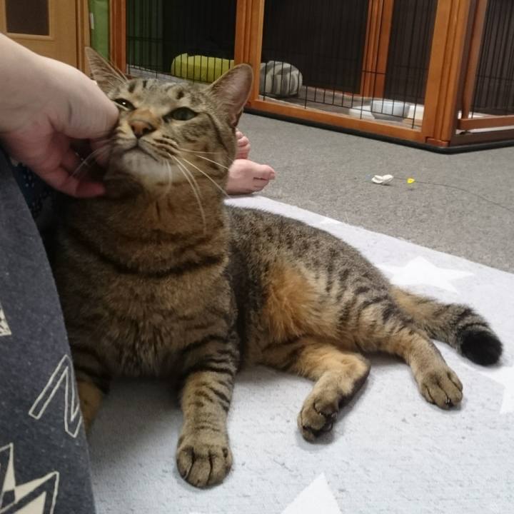 Cb6f7cb2 9133 4764 b965 95bb69fc5060