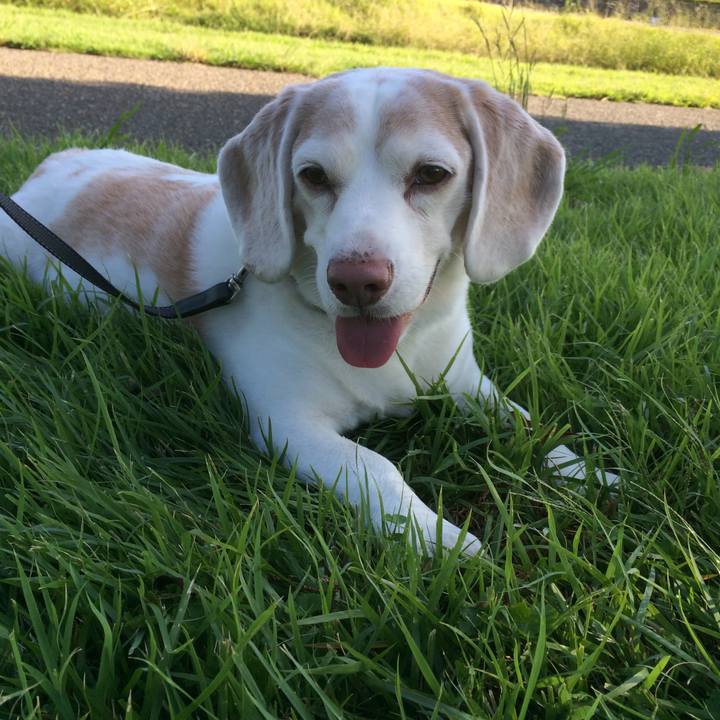 Cb6f8fa9 121e 4d79 9e4e 73a978ef1196