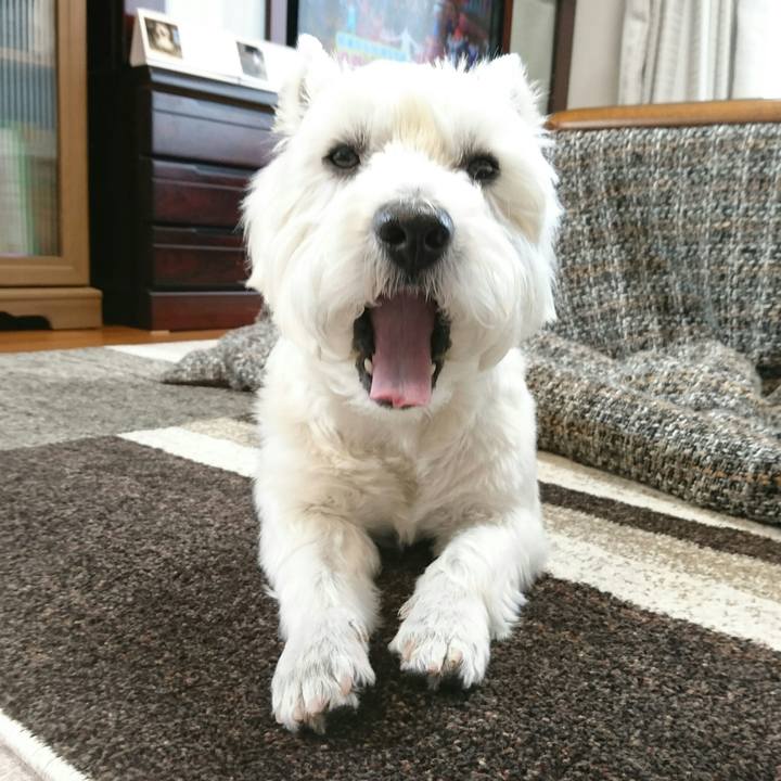 Cb6fe5c5 5e78 460a ac14 79505fc8f3ae