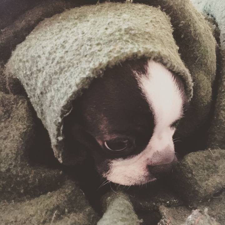 Cb701889 4f3c 4cdb bf3c cca78e32ff53