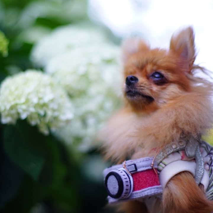 Cb70e485 1254 48cd 9076 ec4b9988a185