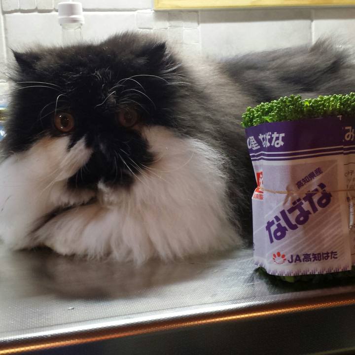 Cb70e7c7 ae8e 4db8 9fae 48ec138f62c4