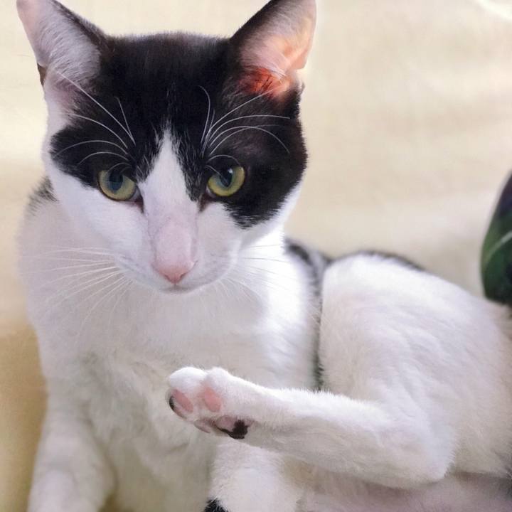 Cb7109d7 9c45 41a5 b1cc 1532683b7577