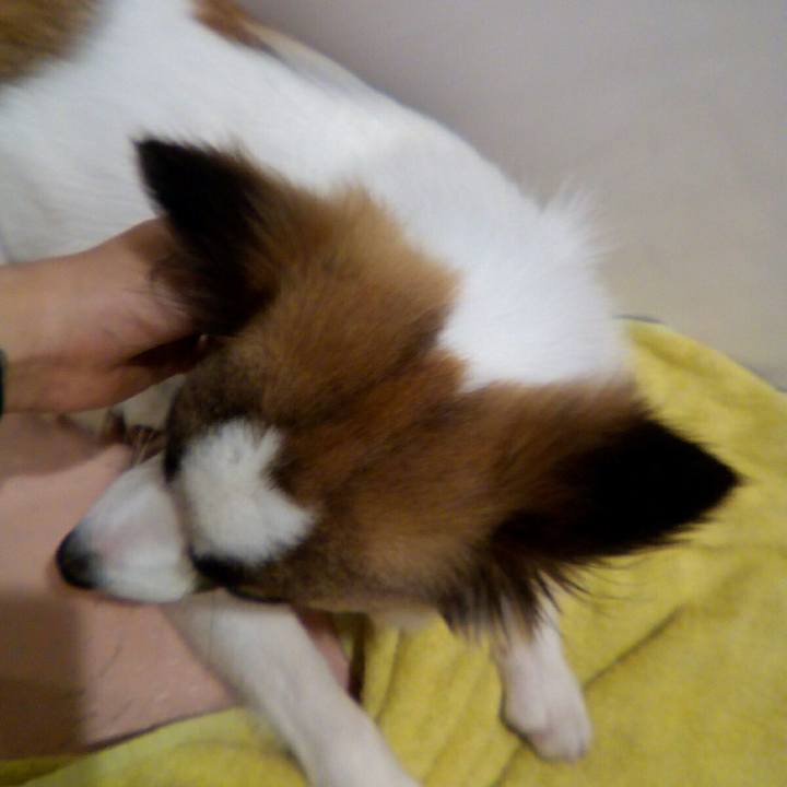 Cb712761 3c2e 46b6 ad72 82586966ff9e