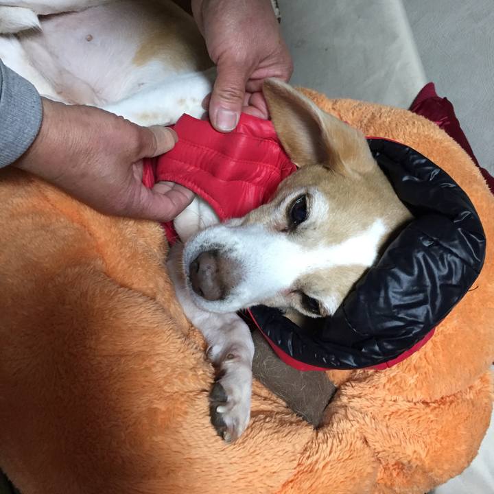 Cb718374 c128 4b94 95ef 1bb1e49b29f8