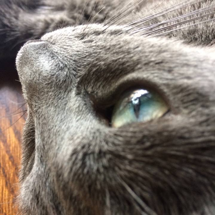 Cb724db7 37da 4264 95a2 306a9398b4b5