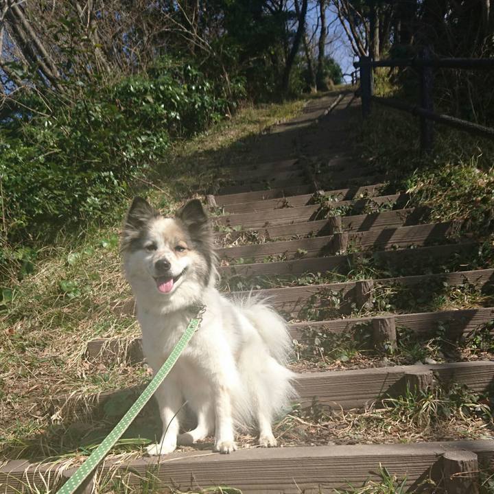 Cb72bd51 188d 4637 99c4 aae95eeb0889