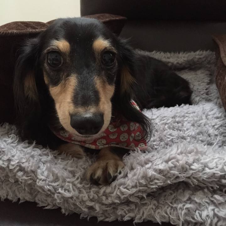 Cb731754 af32 47ce 9592 4013b2043704