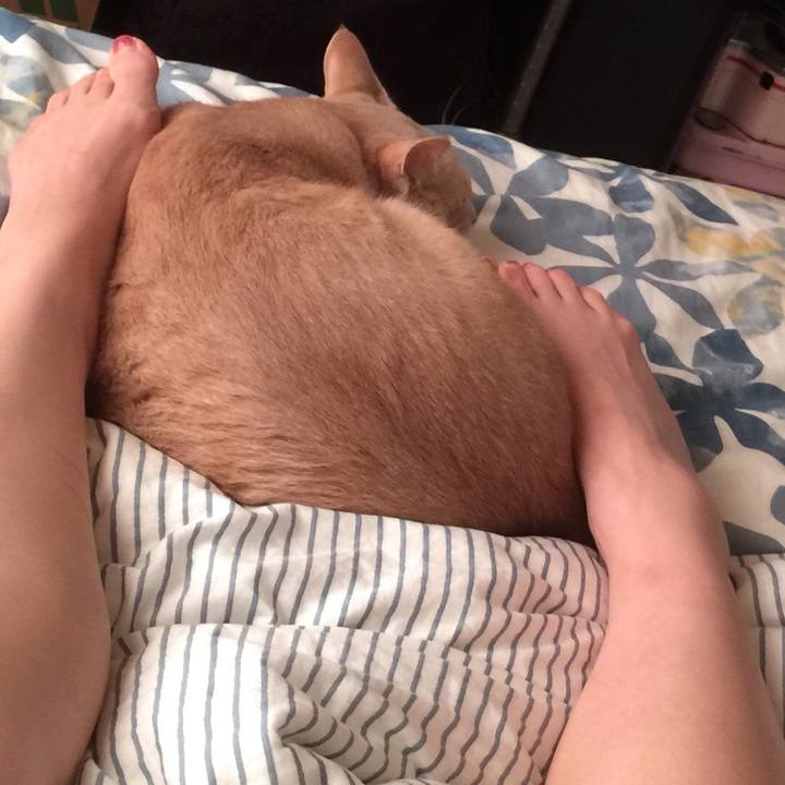 Cb73e4bc bc61 4a7f 818e 6953f9377e6b