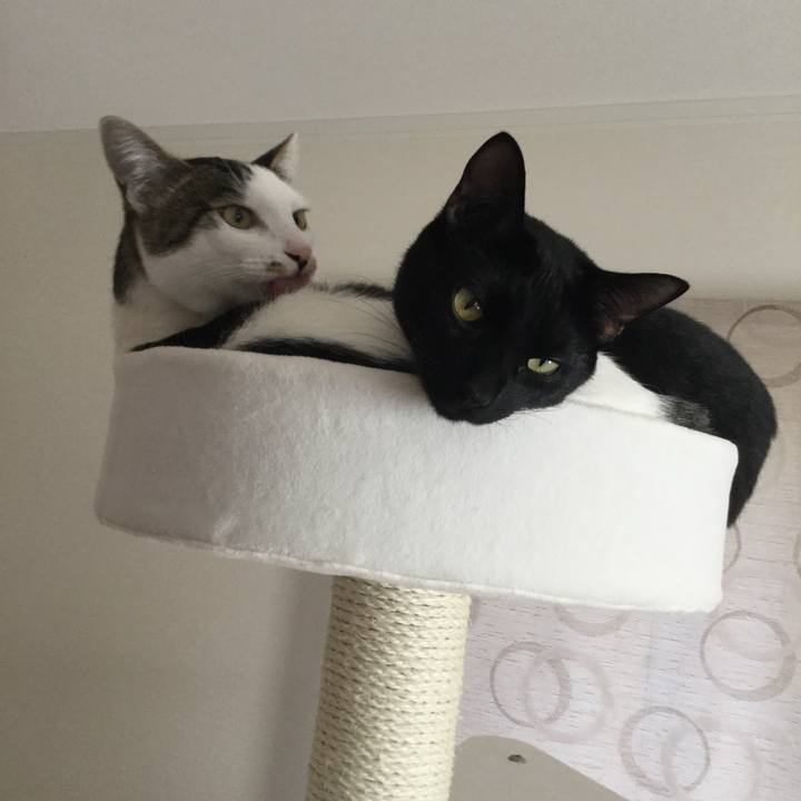 Cb741bee b1d1 46ca 8b3a ea3a083cce83