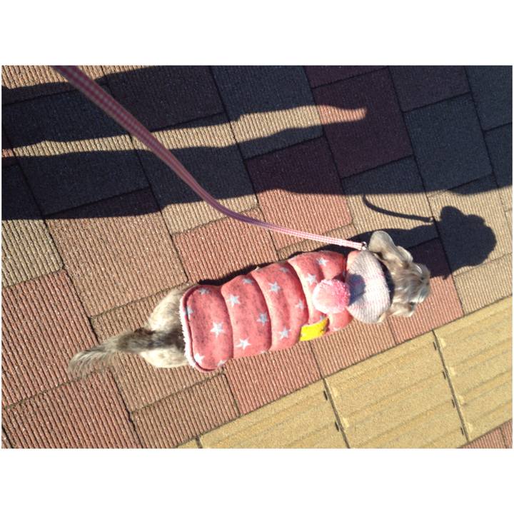 Cb743313 e58e 491a 8a48 58b5e5bbf771