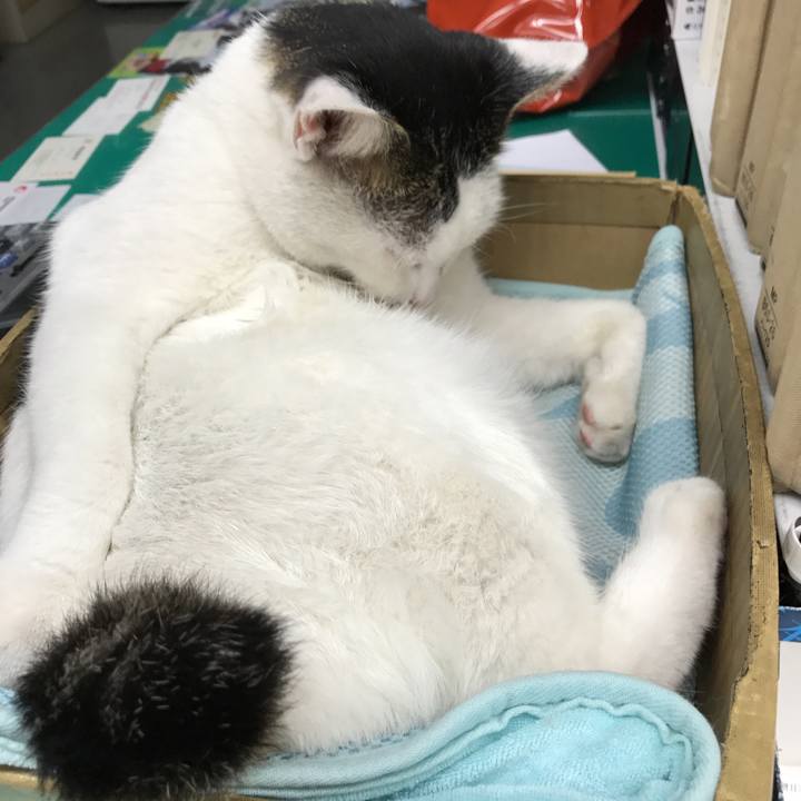 Cb7437e6 55d8 4409 89be 9a88117a1b94