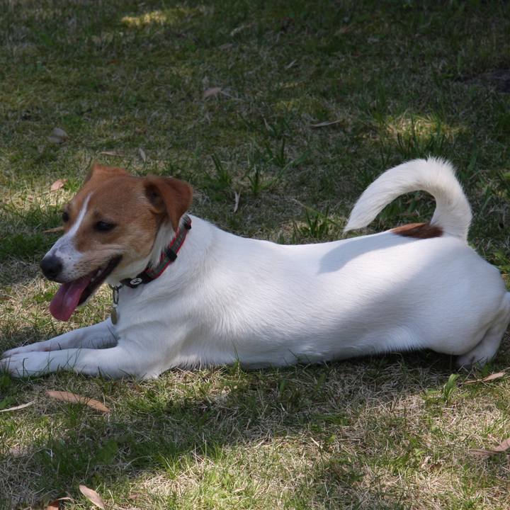 Cb7440b2 b812 40d8 ab95 2540f96e7475