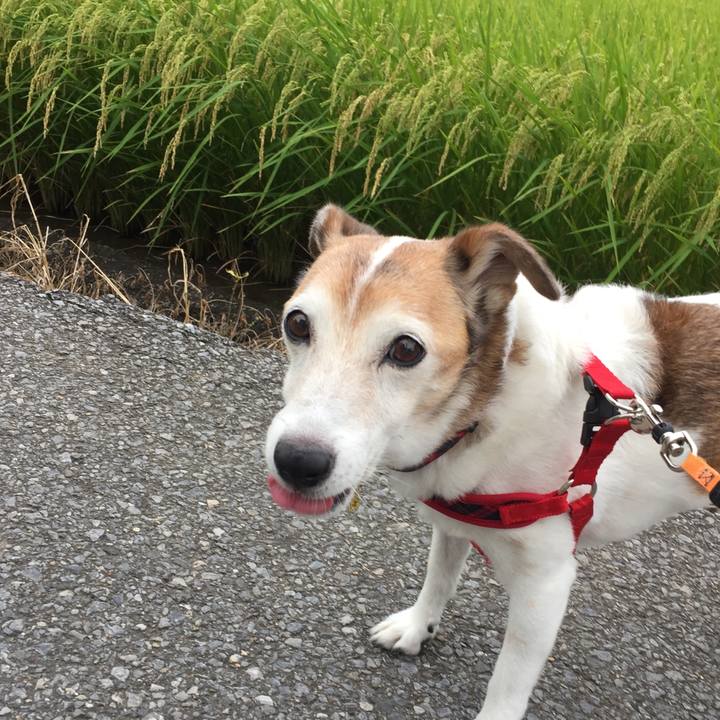 Cb744256 7874 47dc b11e 8c1ac1210dbf